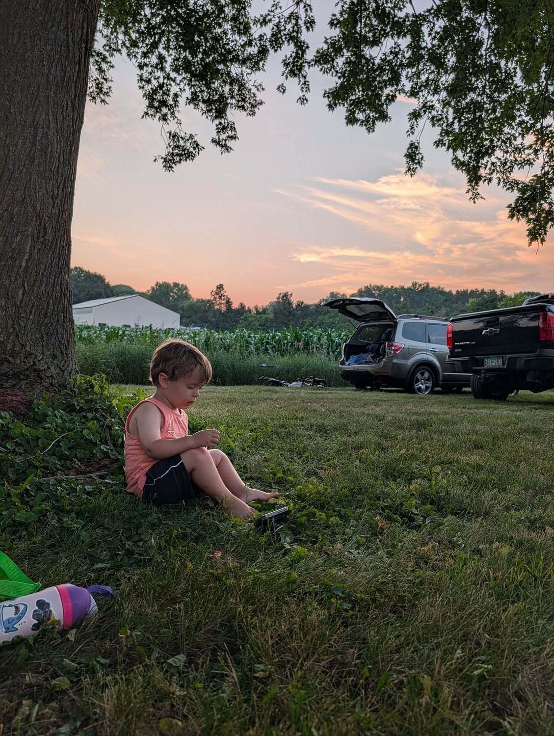 Long summer evening